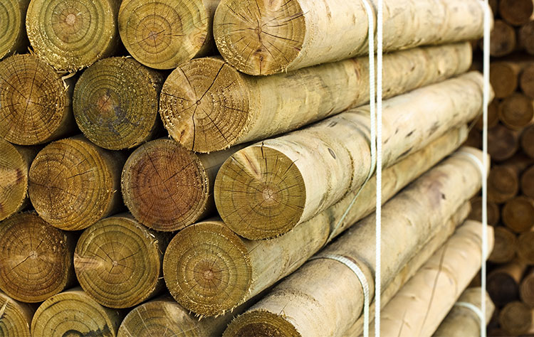 Εμποτισμένη ξυλεία για κατασκευές, ξύλινοι κορμοί για περίφραξη, ξύλινοι δοκοί, ξυλεία για πέργκολες, ξυλεία για τον κήπο.