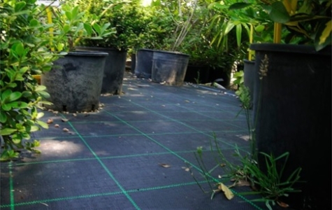 ΓΕΩΥΦΑΣΜΑ - ΦΥΣΙΚΗ ΛΙΝΑΤΣΑ / ΓΙΟΥΤΑ