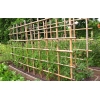ΚΑΛΑΜΙΑ BAMBOO ΦΥΤΩΡΙΟΥ O16-20mm & 22-26mm