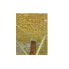 ΑΝΤΑΛΛΑΚΤΙΚΟ ΚΑΠΕΛΟ ΨΑΘΑΣ SEAGRASS - SOL