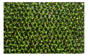 ΦΥΛΛΩΣΙΑ ΠΤΥΣΣΟΜΕΝΗ ΔΙΧΡΩΜΗ ΣΕ PVC ΠΛΕΓΜΑ ΜΕ ΦΥΛΛΑ ΣΕ ΜΠΟΥΚΕΤΑΚΙ