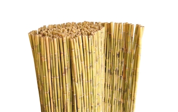 ΚΑΛΑΜΙ ΠΟΤΑΜΙΣΙΟ ΟΛΟΚΛΗΡΟ O12-20mm ΜΕ ΣΥΡΜΑ ΓΑΛΒΑΝΙΖΕ