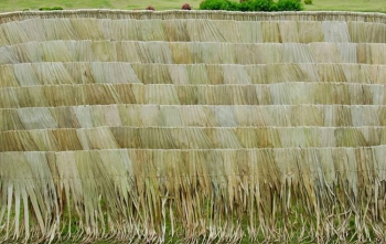 ΦΟΙΝΙΚΟΦΥΛΛΟ ΚΑΛΥΜΜΑ ΠΑΡΑΛΛΗΛΟΓΡΑΜΜΟ ΡΑΦΤΟ