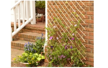 ΠΕΡΓΚΟΛΑ ΠΤΥΣΣΟΜΕΝΗ ΑΠΟ ΒΕΡΓΑ ΛΥΓΑΡΙΑΣ ΑΠΟΦΛΟΙΩΜΕΝΗ ΚΑΡΕ 5x5cm / 7-10mm