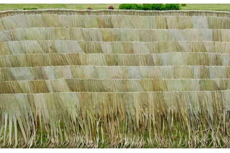 ΦΟΙΝΙΚΟΦΥΛΛΟ ΚΑΛΥΜΜΑ ΠΑΡΑΛΛΗΛΟΓΡΑΜΜΟ ΡΑΦΤΟ