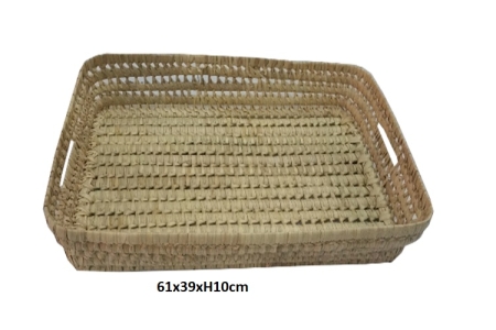 ΨΑΘΙΝΟΣ ΔΙΣΚΟΣ SEAGRASS ΜΕ ΧΕΡΟΥΛΙΑ