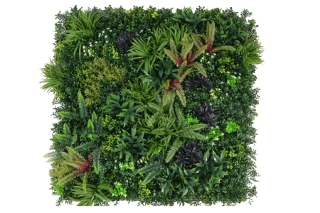 ΦΥΛΛΩΣΙΑ FERN MIX ΣΕ ΠΛΑΚΙΔΙΟ ΚΟΥΜΠΩΤΟ