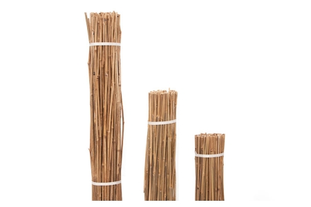 ΚΑΛΑΜΙΑ BAMBOO ΦΥΤΩΡΙΟΥ O16-20mm & 22-26mm