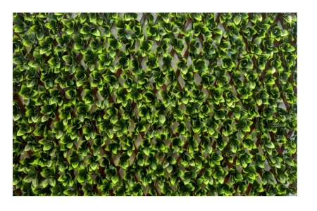 ΦΥΛΛΩΣΙΑ ΠΤΥΣΣΟΜΕΝΗ ΔΙΧΡΩΜΗ ΣΕ PVC ΠΛΕΓΜΑ ΜΕ ΦΥΛΛΑ ΣΕ ΜΠΟΥΚΕΤΑΚΙ