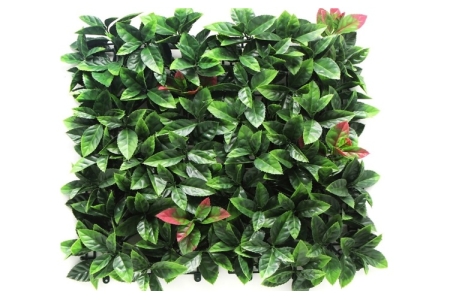 ΦΥΛΛΩΣΙΑ ΠΛΑΚΑΚΙ ΦΩΤΕΙΝΙΑ ΘΑΜΝΟΣ 50x50cm ΑΠΟΛΥΤΗΣ ΚΑΛΥΨΗΣ