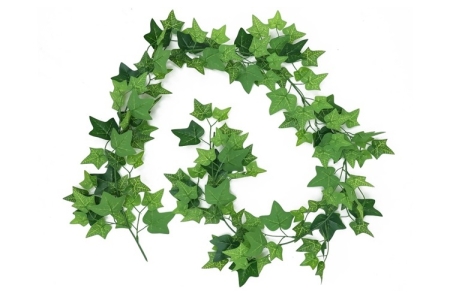 ΓΙΡΛΑΝΤΑ ΚΛΑΔΙΑ ΣΥΝΟΛΙΚΟΥ ΜΗΚΟΥΣ 160cm ΑΠΟ ΦΥΛΛΟ ΚΙΣΣΟΥ ΣΕ 2 ΑΠΟΧΡΩΣΕΙΣ ΤΟΥ ΠΡΑΣΙΝΟΥ